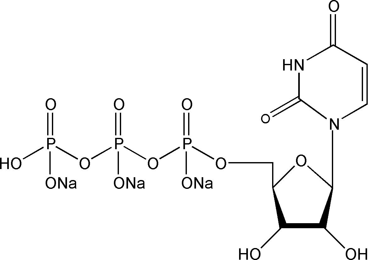尿苷三磷酸溶液(100 mM)(UTP)现货价格
