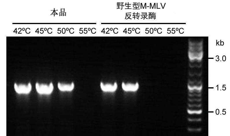 北京YT394型M-MLV反转录酶II(RNase H-)(