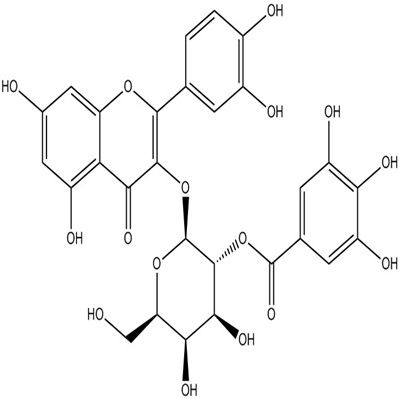2”-O-没食子酰基金丝桃苷53209-27-1