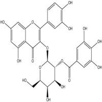 2”-O-没食子酰基金丝桃苷53209-27-1