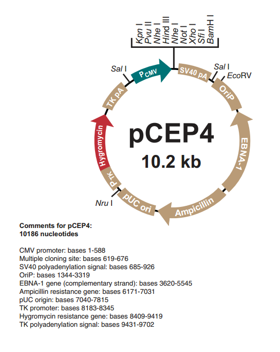pcep4_map
