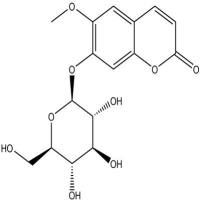 东莨菪苷531-44-2