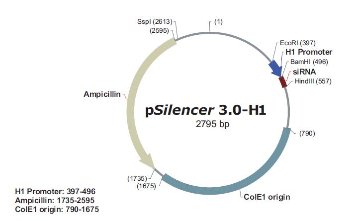 pSilencer 3.0-H1产品信息