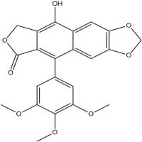 去氢鬼臼毒素42123-27-3