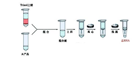 TRIzol试剂伴侣操作流程