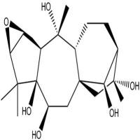 闹羊花毒素III26342-66-5