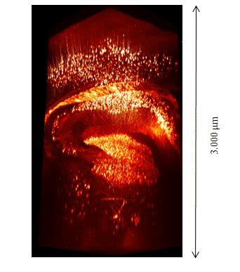 2915039986975482.jpg 2915039986975482.jpg