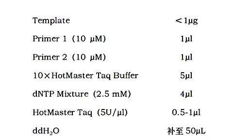 50μl反应体系的建立