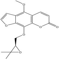 白当归脑26091-79-2