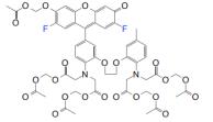 ATF6-Luc荧光素酶报告基因质粒 报告基因检测