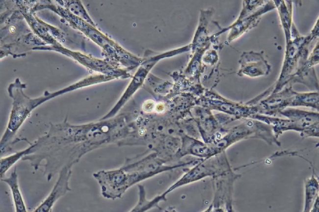 产品细节图片12
