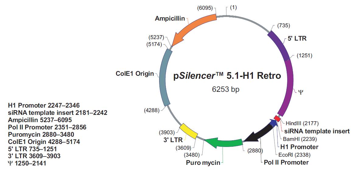 pSilencer5.1-H1 Retro产品信息