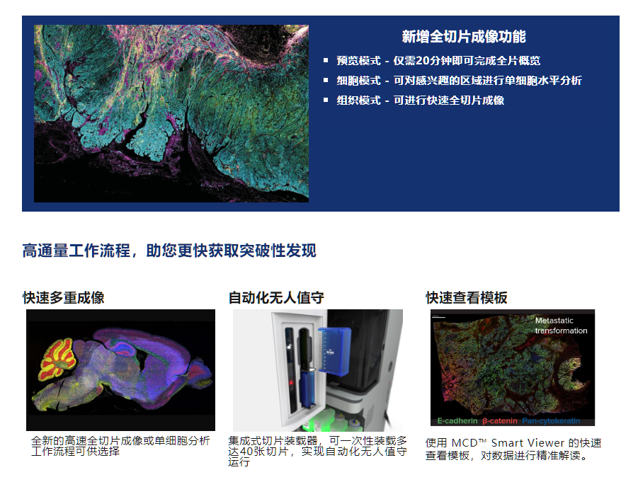 Hyperion XTi 组织成像质谱流式功能再升级！