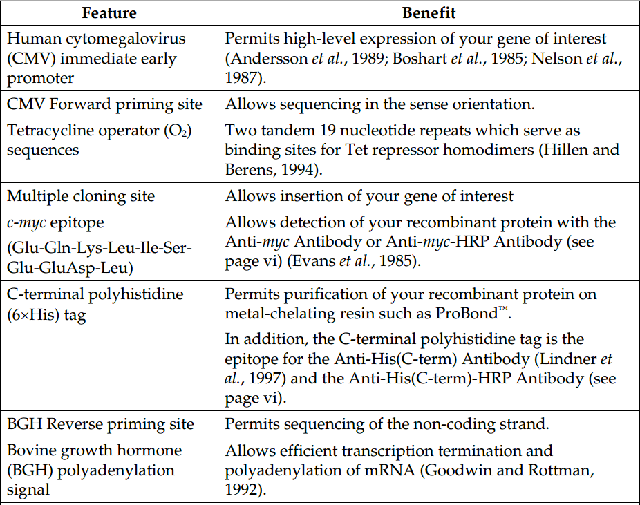 pcDNA4-TO-myc-His 载体特征1