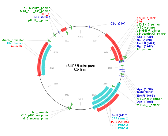 pSUPER.retro.puro产品信息