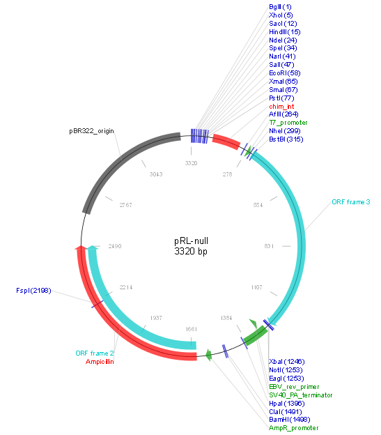 pRL-null产品信息