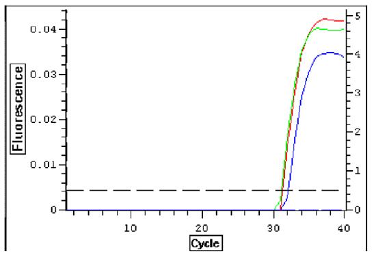 一管式病毒DNA-RNA提取试剂盒