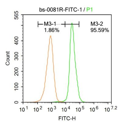 半胱胺酸蛋白酶蛋白3Caspase-3