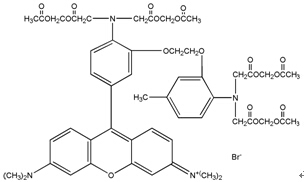 北京细胞可渗透钙离子荧光探针促销