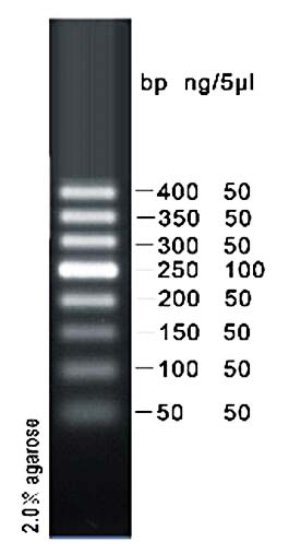 DNA marker(50-400bp)