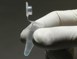 Rac1 Pulldown Activation Assay