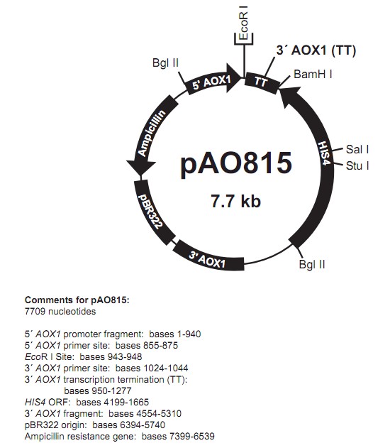pAO815产品信息