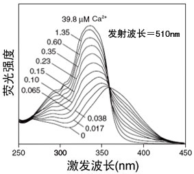 北京细胞内钙离子荧光探针(Fura-2 AM)厂家价格