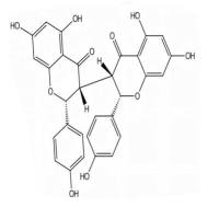 异新狼毒素A871319-96-9