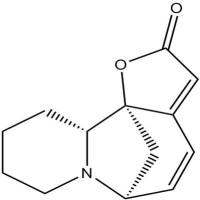 一叶萩碱5610-40-2