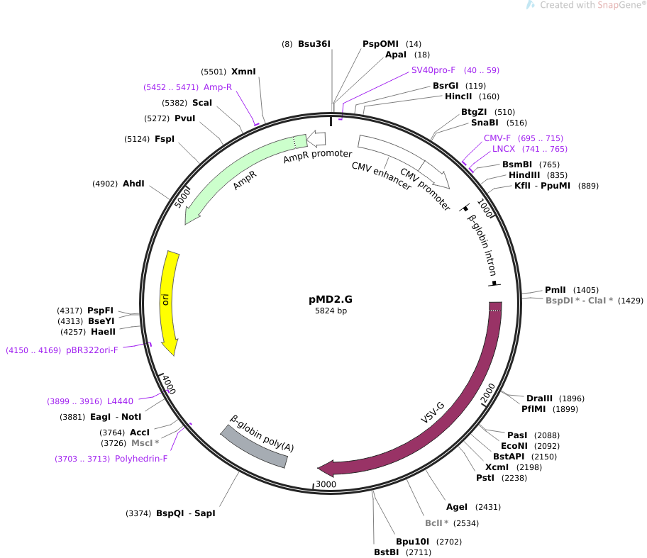 addgene-plasmid-12259-sequence-7271-map