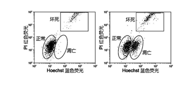  Hoechst 33342/PI双染试剂盒.