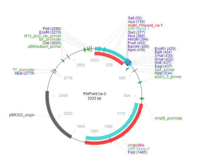 PinPoint Xa-3(PinPointXa3)(609