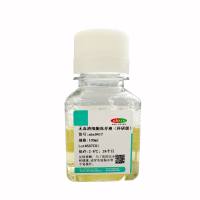 无血清细胞冻存液（科研级）