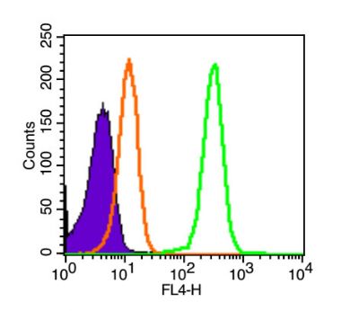 Tissue factor/CD142 antibody