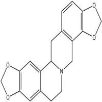 四氢黄连碱7461-02-1
