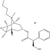 丁溴东莨菪碱149-64-4