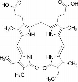 胆红素(635-65-4)分析标准品,HPLC≥98%