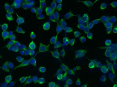 产品细节图片12