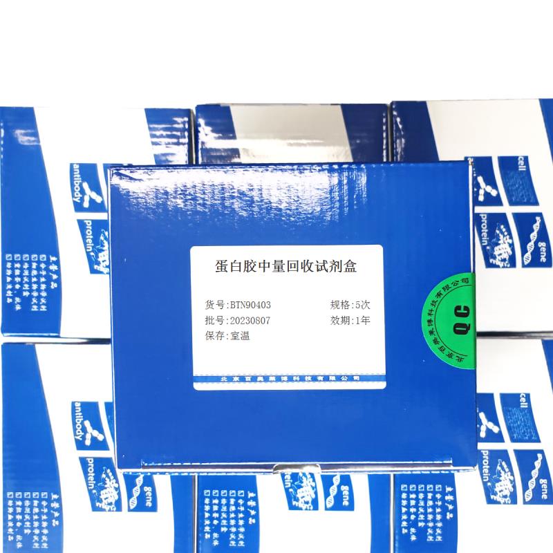 蛋白胶中量回收试剂盒厂家