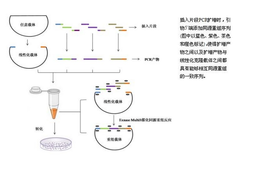 产品细节图片1
