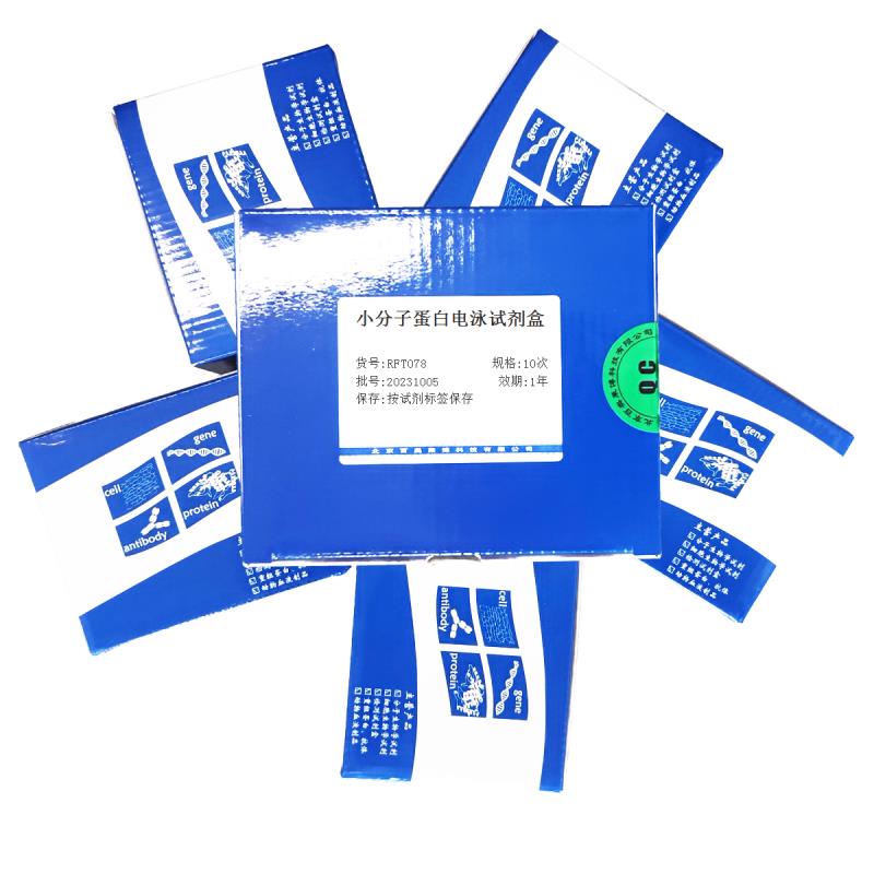 小分子蛋白电泳试剂盒打折促销