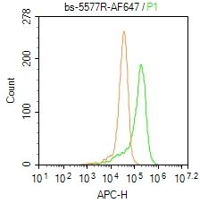 phospho-PTPN6(Tyr564)磷酸化蛋白酪氨酸磷