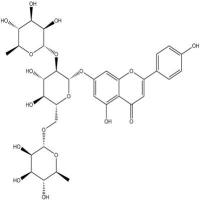 女贞苷260413-62-5