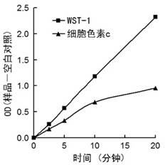 超氧化物检测试剂盒库存