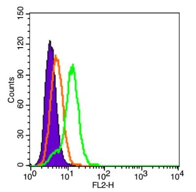Integrin beta 1整合素β1/Integrin 