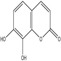 祖师麻甲素486-35-1