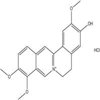 盐酸药根碱960383-96-4
