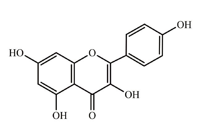 北京现货鞘磷脂对照品批发