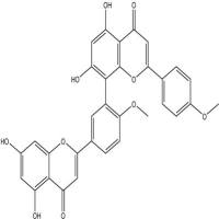 异银杏双黄酮548-19-6