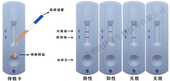 莱克多巴胺检测卡 